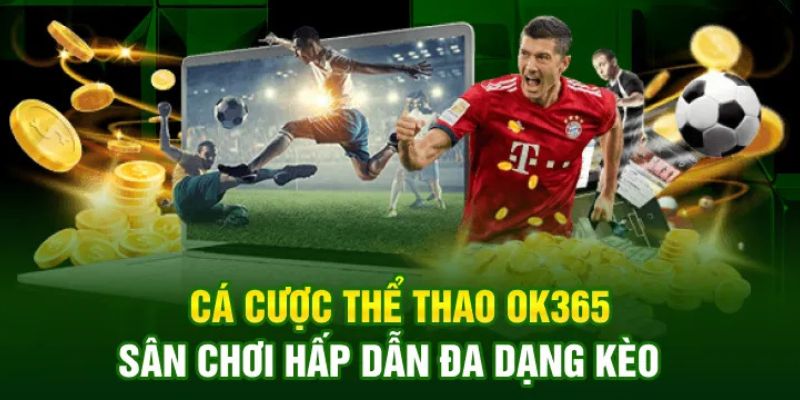 Lý do sân chơi thể thao OK365 hấp dẫn với nhiều người