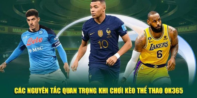 Các nguyên tắc quan trọng khi cá cược thể thao OK365